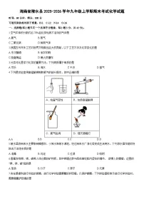 2025-2026学年海南省陵水县九年级上学期期末考试化学试卷（学生版）