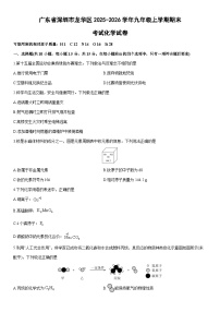 2025-2026学年广东省深圳市龙华区九年级上学期期末考试化学试卷（学生版）