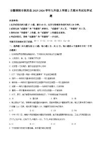 安徽铜陵市枞阳县2025-2026学年九年级上学期2月期末考试化学试题（试卷+解析）