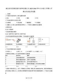 2025-2026学年湖北省省直辖县级行政单位潜江市九年级上学期1月期末考试化学试卷（含答案）