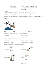 2025-2026学年江苏省徐州市九年级上学期期末抽测化学试卷（含答案）