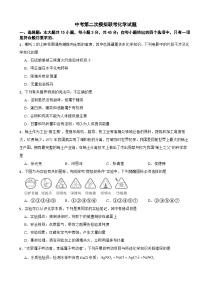 广东省东莞市2026年中考第二次模拟联考化学试题附答案