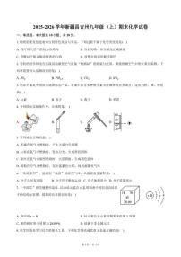 2025-2026学年新疆昌吉州九年级（上）期末化学试卷（含答案）