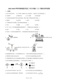 2025-2026学年河南省驻马店二中九年级（上）期末化学试卷（含答案）