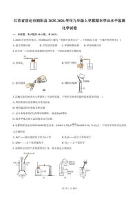 2025-2026学年江苏省宿迁市泗阳县九年级上学期期末学业水平监测化学试卷（含答案）