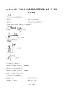 2025-2026学年江苏省徐州市沛县实验学校联盟学区九年级（上）期末化学试卷（含答案）