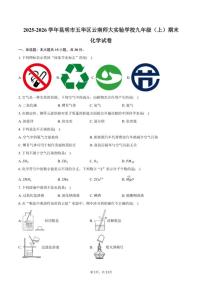 2025-2026学年云南省昆明市五华区云南师大实验学校九年级（上）期末化学试卷（含答案）