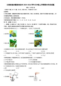 2025-2026学年云南省迪庆藏族自治州九年级上学期期末考试化学试卷(学生版)