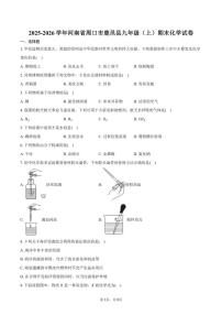2025-2026学年河南省周口市鹿邑县九年级（上）期末化学试卷（含答案）