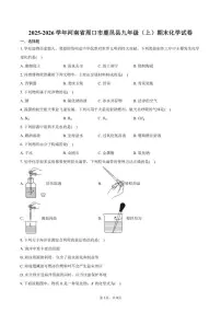 2025-2026学年河南省周口市鹿邑县九年级（上）期末化学试卷（含答案）