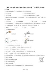2025-2026学年湖南省郴州市永兴县九年级（上）期末化学试卷（含答案）