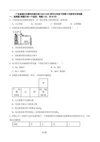 2024-2025学年广东省湛江市雷州市部分校九年级下学期3月联考化学试题（含答案）