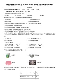 2024-2025学年新疆乌鲁木齐市米东区九年级上学期期末考试化学试卷（学生版）