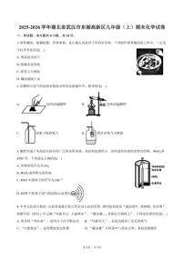 2025-2026学年湖北省武汉市东湖高新区九年级（上）期末化学（含答案）试卷