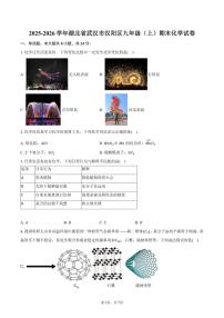 2025-2026学年湖北省武汉市汉阳区九年级（上）期末化学（含答案）试卷