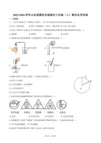2025-2026学年山东省潍坊市诸城市八年级（上）期末化学（含答案）试卷