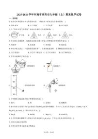 2025-2026学年河南省洛阳市九年级（上）期末化学（含答案）试卷