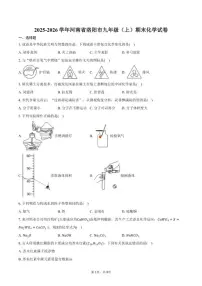 2025-2026学年河南省洛阳市九年级（上）期末化学（含答案）试卷