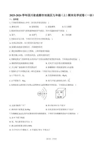 2025-2026学年四川省成都市双流区九年级（上）期末化学（一诊）（含答案）试卷