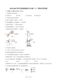 2025-2026学年甘肃省陇南市九年级（上）期末化学_(含答案_)试卷
