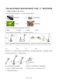 2025-2026学年黑龙江省哈尔滨市香坊区八年级（上）期末化学（含答案）试卷