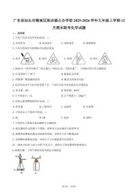 2025-2026学年广东省汕头市潮南区陈店镇公办学校九年级上学期12月期末联考化学（含答案）试卷