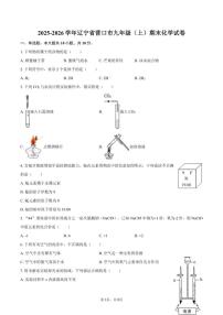 2025-2026学年辽宁省营口市九年级（上）期末化学（含答案）试卷