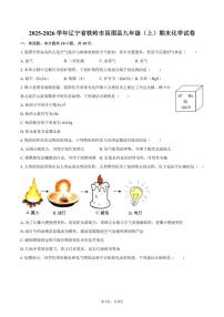 2025-2026学年辽宁省铁岭市昌图县九年级（上）期末化学（含答案）试卷