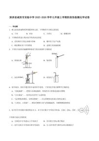2025-2026学年陕西省咸阳市实验中学九年级上学期阶段性检测化学_(含答案_)试卷
