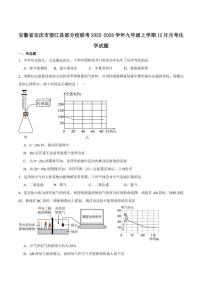 2025-2026学年安徽省安庆市望江县部分校九年级上学期12月月考化学_(含答案_)试卷
