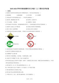 2025-2026学年河南省漯河市九年级（上）期末化学试卷（含答案）