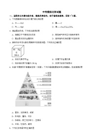 广东省珠海市香洲区2026年中考模拟化学试题附答案
