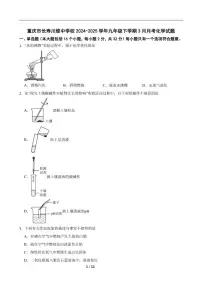 2024-2025学年重庆市长寿川维中学校九年级下学期3月月考化学试题（含答案）