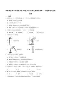 2024-2025学年河南省郑州市郑州外国语学校九年级上学期期中考试化学_(含答案_)试卷
