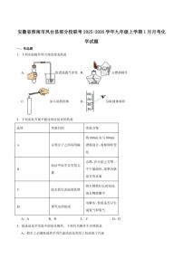 2025-2026学年安徽省淮南市凤台县部分校联考九年级上学期1月月考化学（含答案)试卷