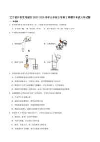 2025-2026学年辽宁省丹东市凤城市九年级上学期1月期末考试化学（含答案）试卷