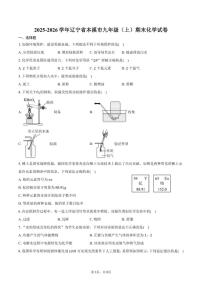 2025-2026学年辽宁省本溪市九年级（上）期末化学试卷（含答案）