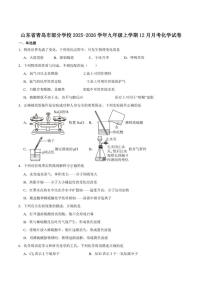 2025-2026学年山东省青岛市部分学校九年级上学期12月月考化学试卷（含答案）