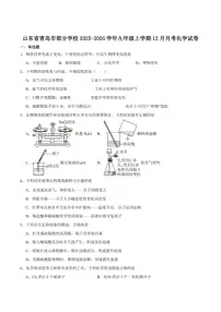 2025-2026学年山东省青岛市部分学校九年级上学期12月月考化学试卷（含答案）