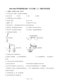 2025-2026学年陕西省宝鸡一中九年级（上）期末化学试卷（含答案）