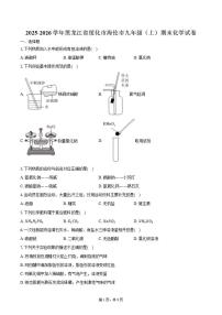 2025-2026学年黑龙江省绥化市海伦市九年级（上）期末化学试卷（含答案）