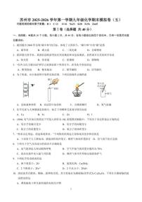 2025-2026学年江苏省苏州市第一学期九年级化学期末模拟卷（五）（含解析）