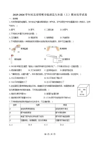2025-2026学年河北省邯郸市临漳县九年级（上）期末化学试卷（含答案）