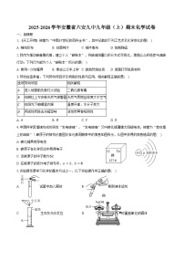 2025-2026学年安徽省六安九中九年级（上）期末化学试卷（含答案）