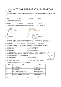 2025-2026学年河北省邯郸市临漳县九年级（上）期末化学试卷（含答案）