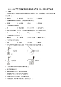 2025-2026学年河南省周口市鹿邑县九年级（上）期末化学试卷（含答案）