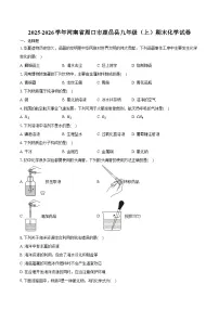 2025-2026学年河南省周口市鹿邑县九年级（上）期末化学试卷（含答案）