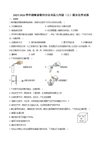 2025-2026学年湖南省郴州市永兴县九年级（上）期末化学试卷（含答案）