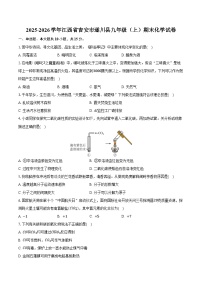 2025-2026学年江西省吉安市遂川县九年级（上）期末化学试卷（含答案）