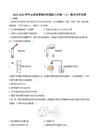 2025-2026学年山西省晋城市阳城县九年级（上）期末化学试卷（含答案）